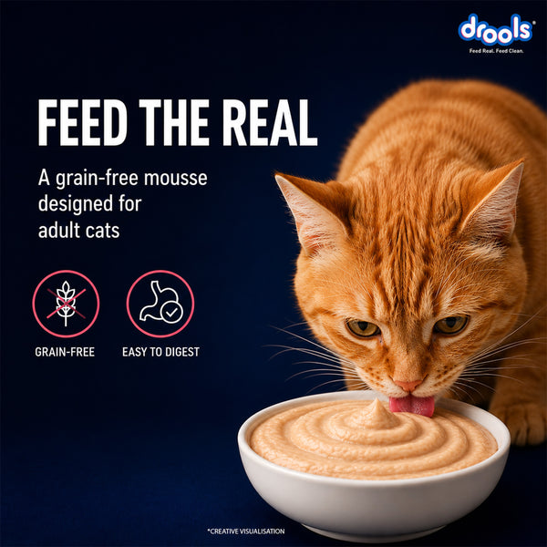 Drools Salmon Mousse Adult Cat Wet Food