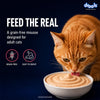 Drools Salmon Mousse Adult Cat Wet Food Cats-Wet Food Drools