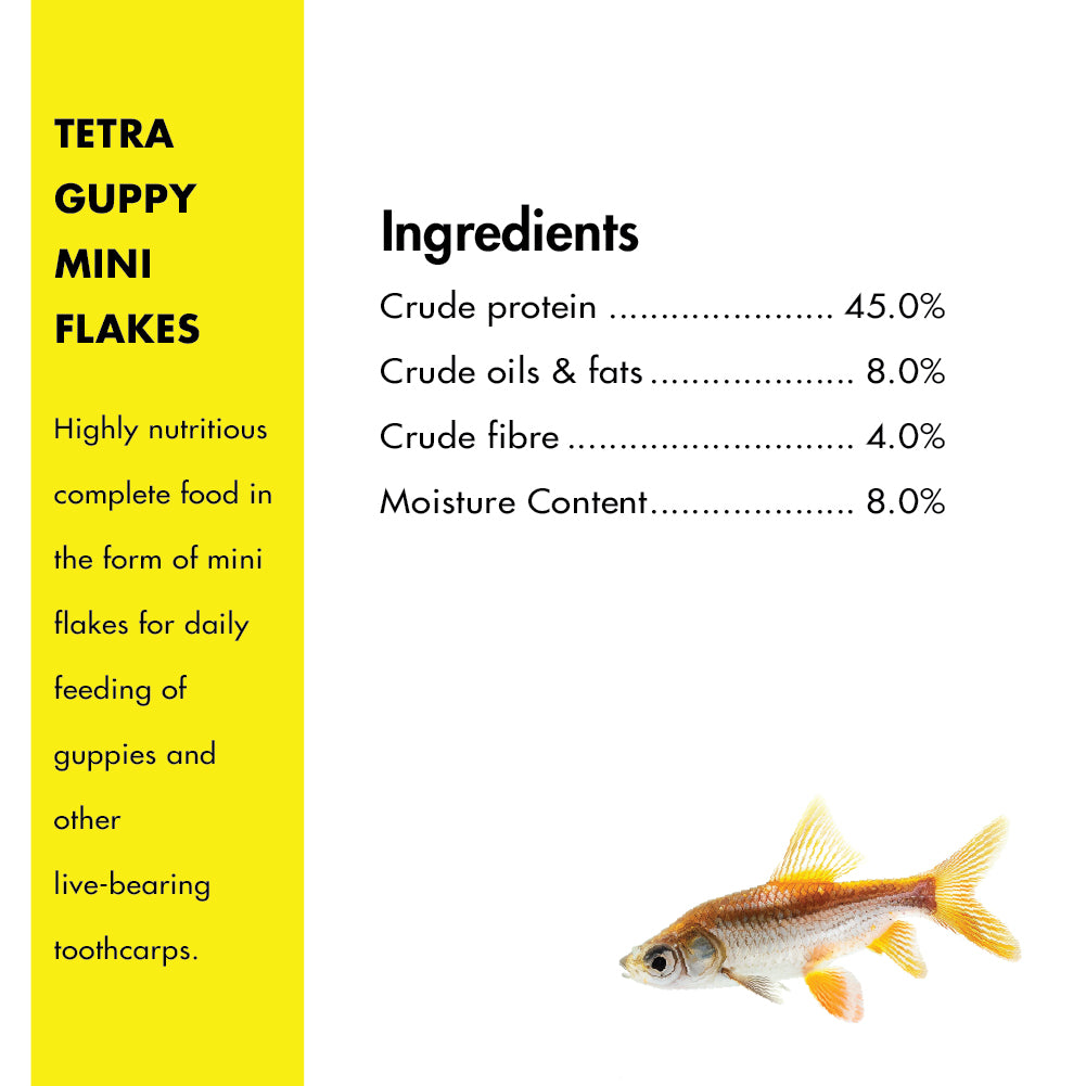 Tetra Complete Guppy Fish Food Fish Tetra