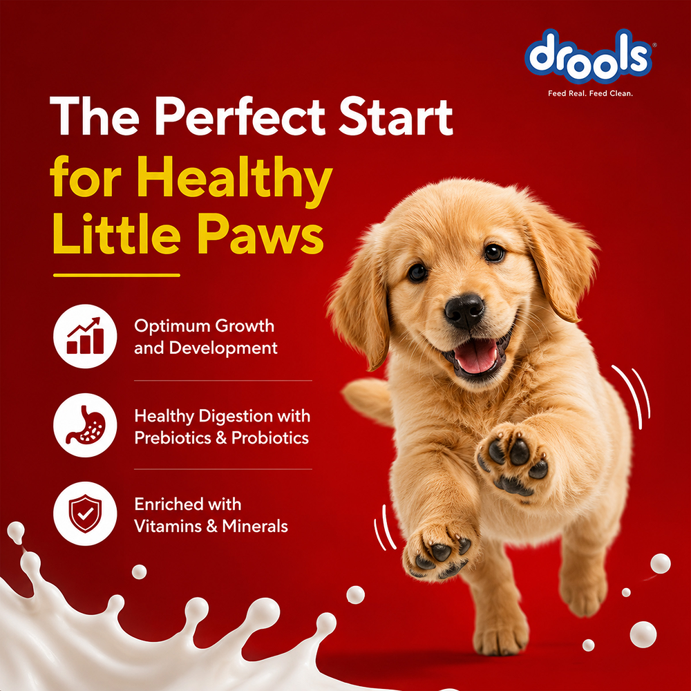 Drools Absolute Milk for Newborn Puppies Dogs-Health & Wellness Drools