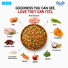 Drools Tetra Pak Real Chicken Turkey Dog Fresh Food Dogs-Fresh Food Drools