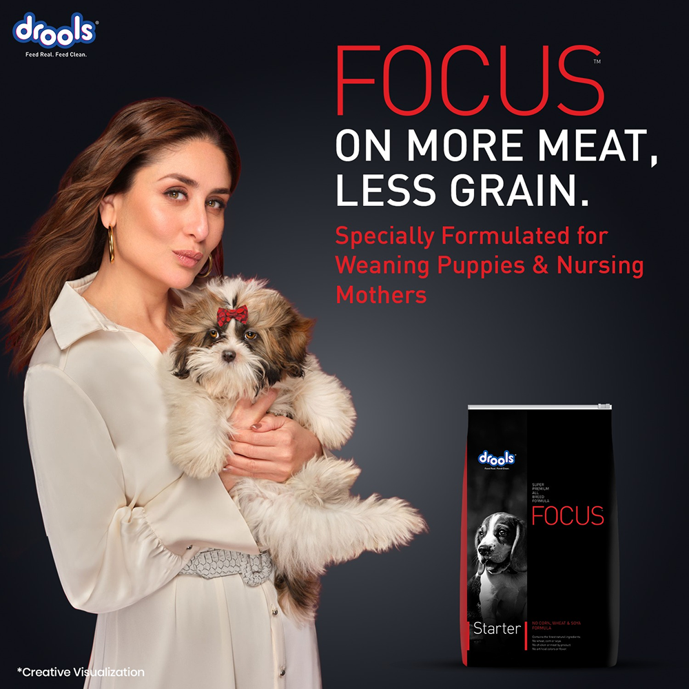 Drools Focus Super Premium Starter Dog Dry Food | Corn & Wheat Free Formula Dogs- Dry Food Drools Focus