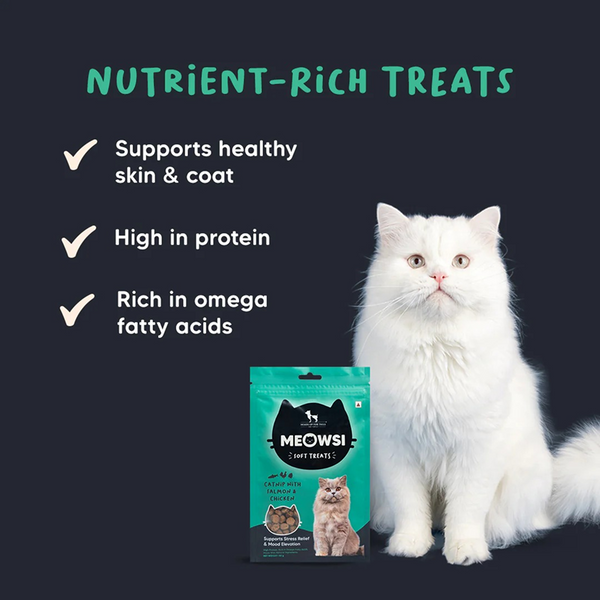HUFT Meowsi Catnip with Salmon & Chicken Soft Cat Treats