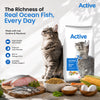 Active Ocean Fish Adult Cat Dry Food (Buy 1 Get 1) Cats- Dry food Active