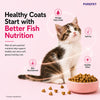 Purepet Tuna and Salmon Kitten Cat Dry Food Cats- Dry food Purepet