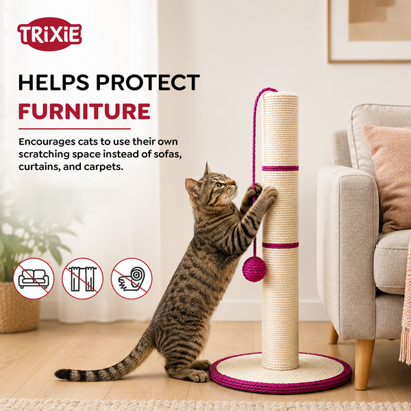 Trixie Scratching Post for Cats (Pink/White)