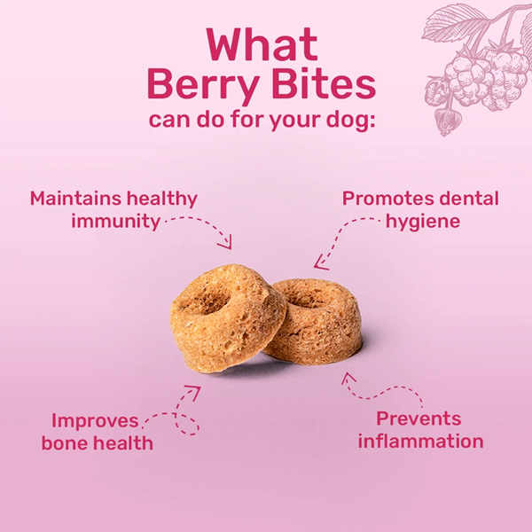 HUFT Berry Bites Gluten Free Real Chicken & Raspberries Dog Treats