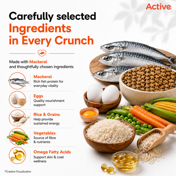 Active Mackerel Adult Cat Dry Food (Buy 1 Get 1)