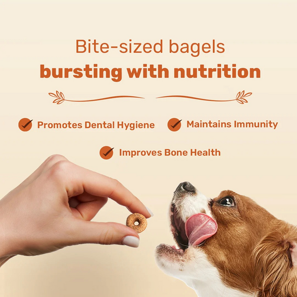 HUFT Bagel Bites Gluten Free Real Chicken & Cheese Dog Treats