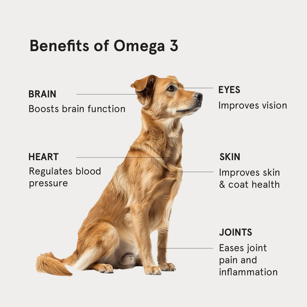 Honst 30% Omega 3 Sardine Fish Oil Supplement for Dogs