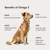 Honst 30% Omega 3 Sardine Fish Oil Supplement for Dogs