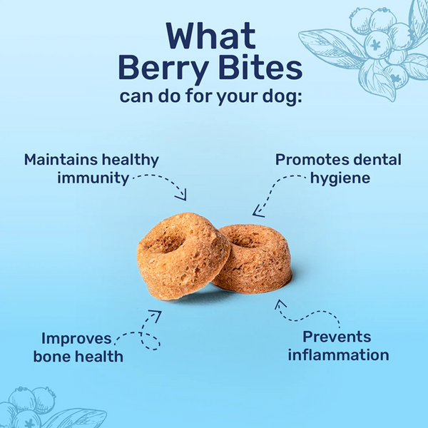 HUFT Berry Bites Real Chicken & Blueberries Dog Treats