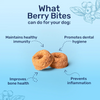 HUFT Berry Bites Real Chicken & Blueberries Dog Treats Dog Treats + Others Heads Up for Tails