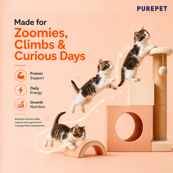 Purepet Mackerel Kitten Cat Dry Food