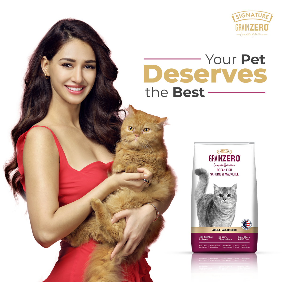 Signature Grain Zero Ocean Fish, Sardine and Mackerel Adult Cat Dry Food Cats- Dry food Signature