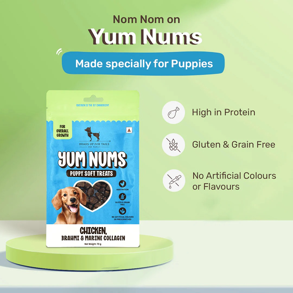 HUFT Yum Nums Chicken Brahmi and Marine Collagen Grain Free Soft Treats for Puppys Dog Treats + Others Heads Up for Tails