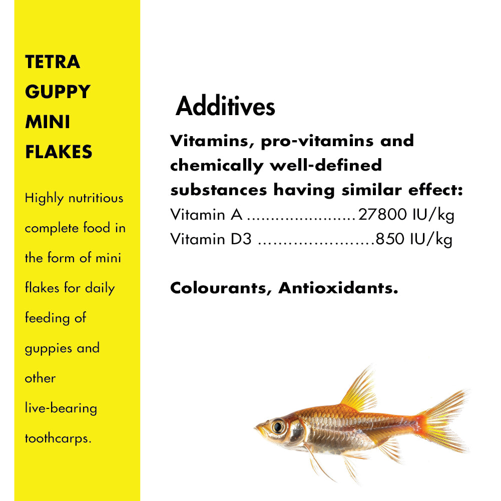 Tetra Complete Guppy Fish Food Fish Tetra
