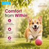 Signature Grain Zero Tetra Pack Real Chicken Turkey Dog Fresh Food Dogs-Fresh Food Signature