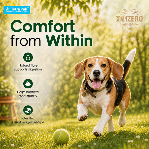 Signature Grain Zero Tetra Pack Real Lamb and Fresh Veggies Dog Fresh Food