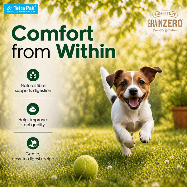 Signature Grain Zero Tetra Pack Real Chicken Veggies Dog Fresh Food