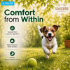 Signature Grain Zero Tetra Pack Real Chicken Veggies Dog Fresh Food Dogs-Fresh Food Signature