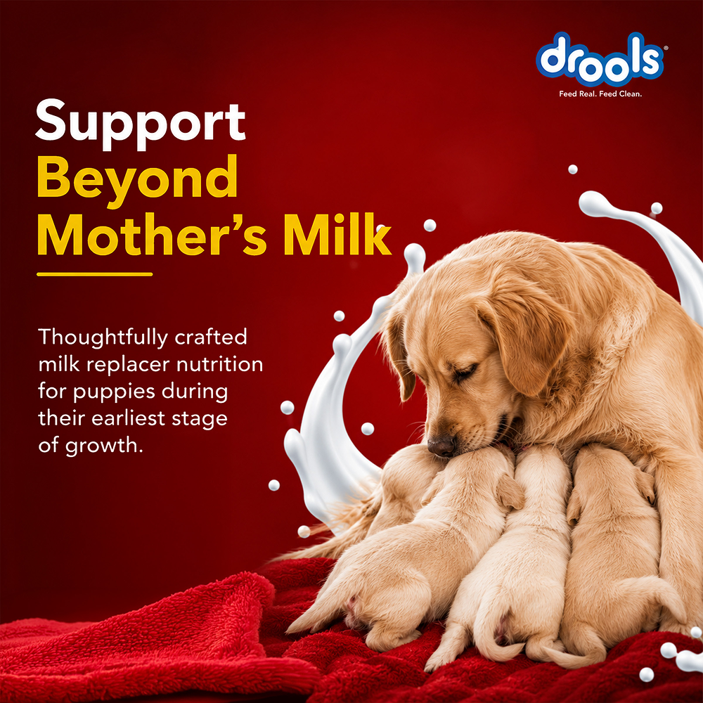 Drools Absolute Milk for Newborn Puppies Dogs-Health & Wellness Drools
