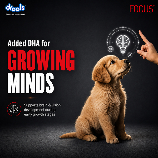 Drools Focus Pup Booster Puppy Weaning Diet for All Breeds (300g)