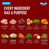 Drools Tetra Pak Real Chicken Turkey Dog Fresh Food Dogs-Fresh Food Drools