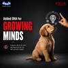 Drools Focus Pup Booster Puppy Weaning Diet for All Breeds (300g)