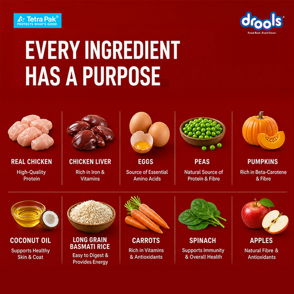 Drools Tetra Pack Real Chicken Pumpkin Dog Fresh Food