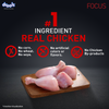 Drools Focus Super Premium Starter Dog Dry Food | Corn & Wheat Free Formula Dogs- Dry Food Drools Focus