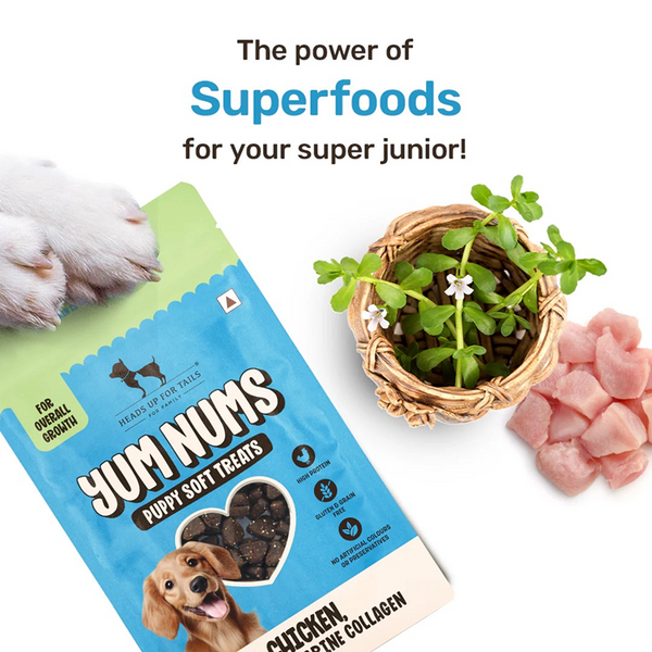 HUFT Yum Nums Chicken Brahmi and Marine Collagen Grain Free Soft Treats for Puppys