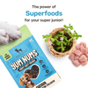 HUFT Yum Nums Chicken Brahmi and Marine Collagen Grain Free Soft Treats for Puppys Dog Treats + Others Heads Up for Tails