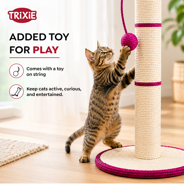 Trixie Scratching Post for Cats (Pink/White)
