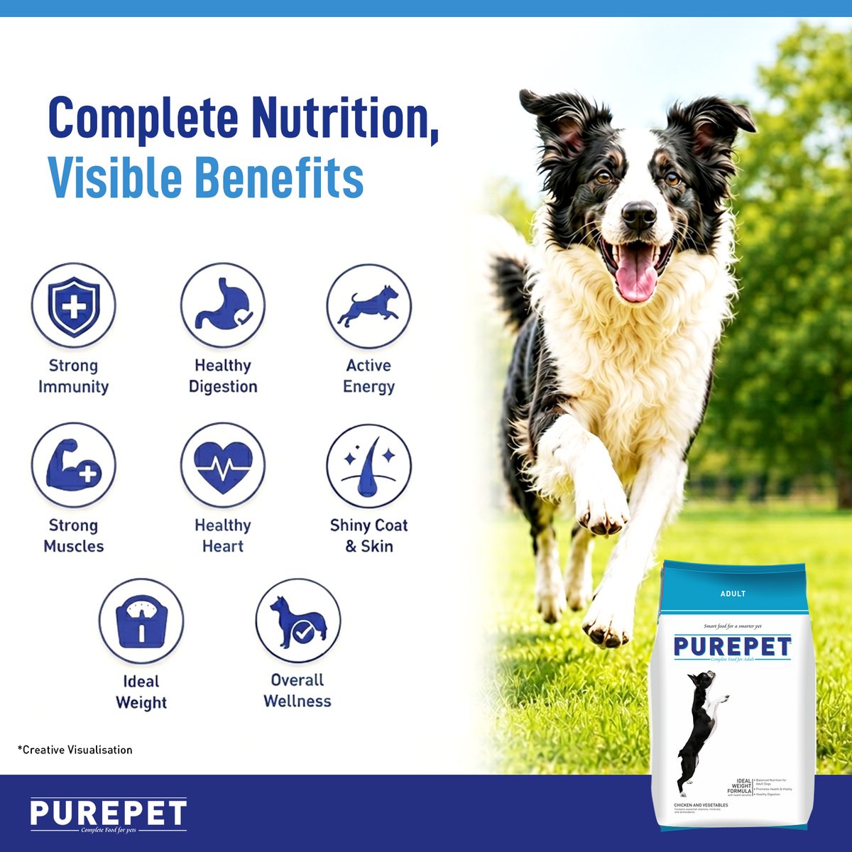 Purepet Chicken & Vegetable Adult Dog Dry Food