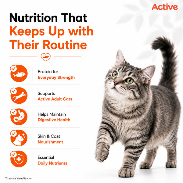Active Mackerel Adult Cat Dry Food (Buy 1 Get 1)