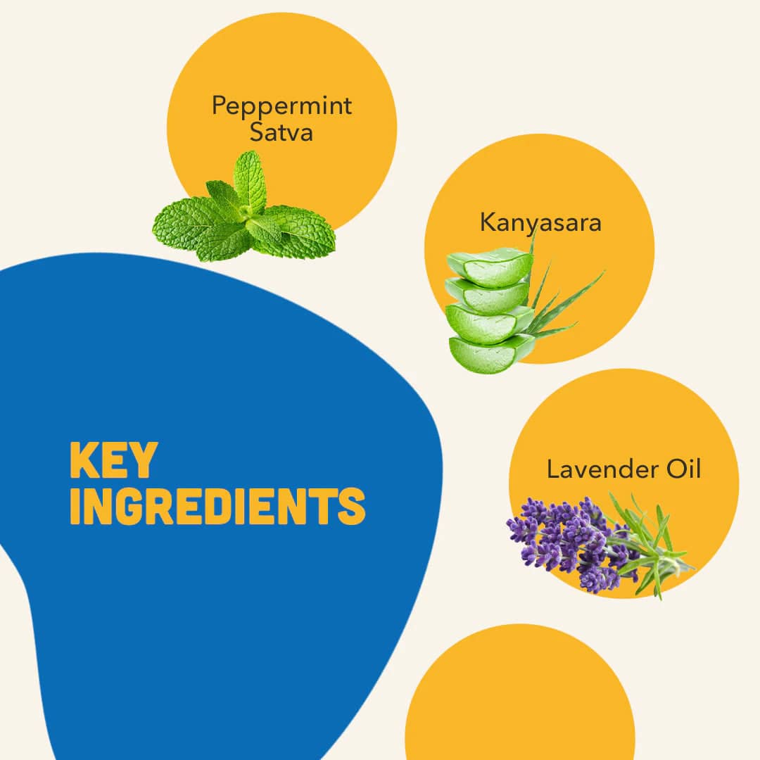 Natural Remedies Natgut Digestive Tablets & Fresh Me Up Bloom Dry Shampoo Dogs & Cats Combo Exclusive Combo Natural Remedies