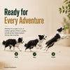 Signature Grain Zero Real Chicken, Egg and Vegetables Adult Dog Dry Food Dogs- Dry Food Signature