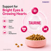 Purepet Tuna and Salmon Kitten Cat Dry Food Cats- Dry food Purepet