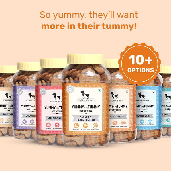 HUFT YIMT Banana and Peanut Butter Biscuits for Dogs