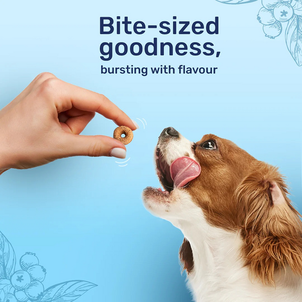 HUFT Berry Bites Real Chicken & Blueberries Dog Treats