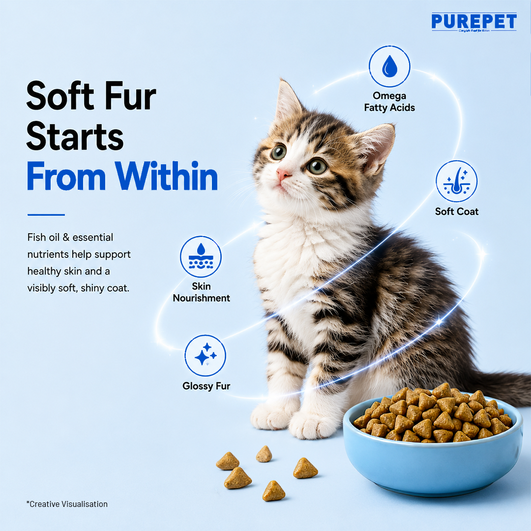 Purepet Ocean Fish Kitten Dry Food Cats- Dry food Purepet