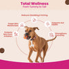 TailsAlive Probiotic, Immunity Booster and Skin & Coat Chews Allergy & Itch Relief Combo for Dogs Dogs-Health & Wellness TailsAlive