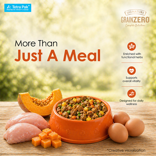 Signature Grain Zero Tetra Pack Real Chicken Egg & Pumpkin Dog Fresh Food