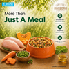 Signature Grain Zero Tetra Pack Real Chicken Veggies Dog Fresh Food Dogs-Fresh Food Signature