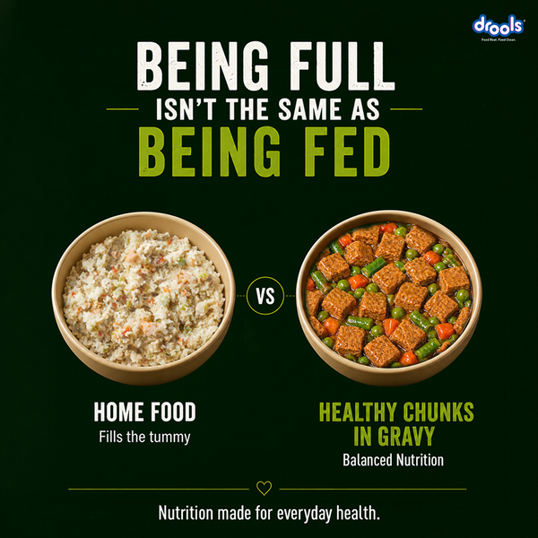 Drools 100% Veg Chunks in Gravy Adult Dog Wet Food