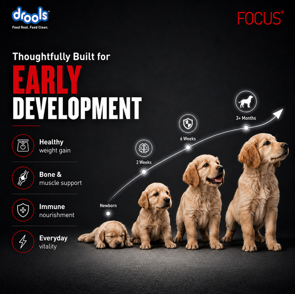 Drools Focus Pup Booster Puppy Weaning Diet for All Breeds (300g)