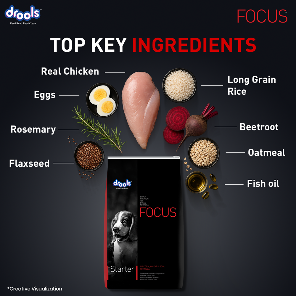 Drools Focus Super Premium Starter Dog Dry Food | Corn & Wheat Free Formula Dogs- Dry Food Drools Focus