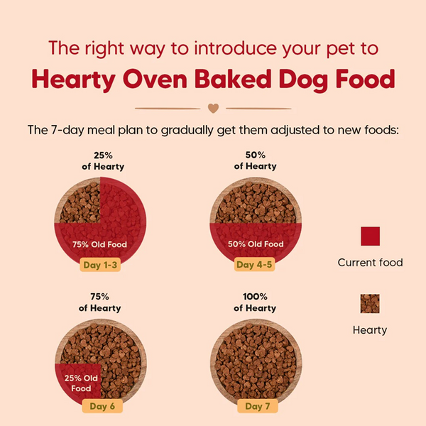HUFT Hearty Oven Baked Lamb & Blueberry with Superfood Adult Dog Dry Food