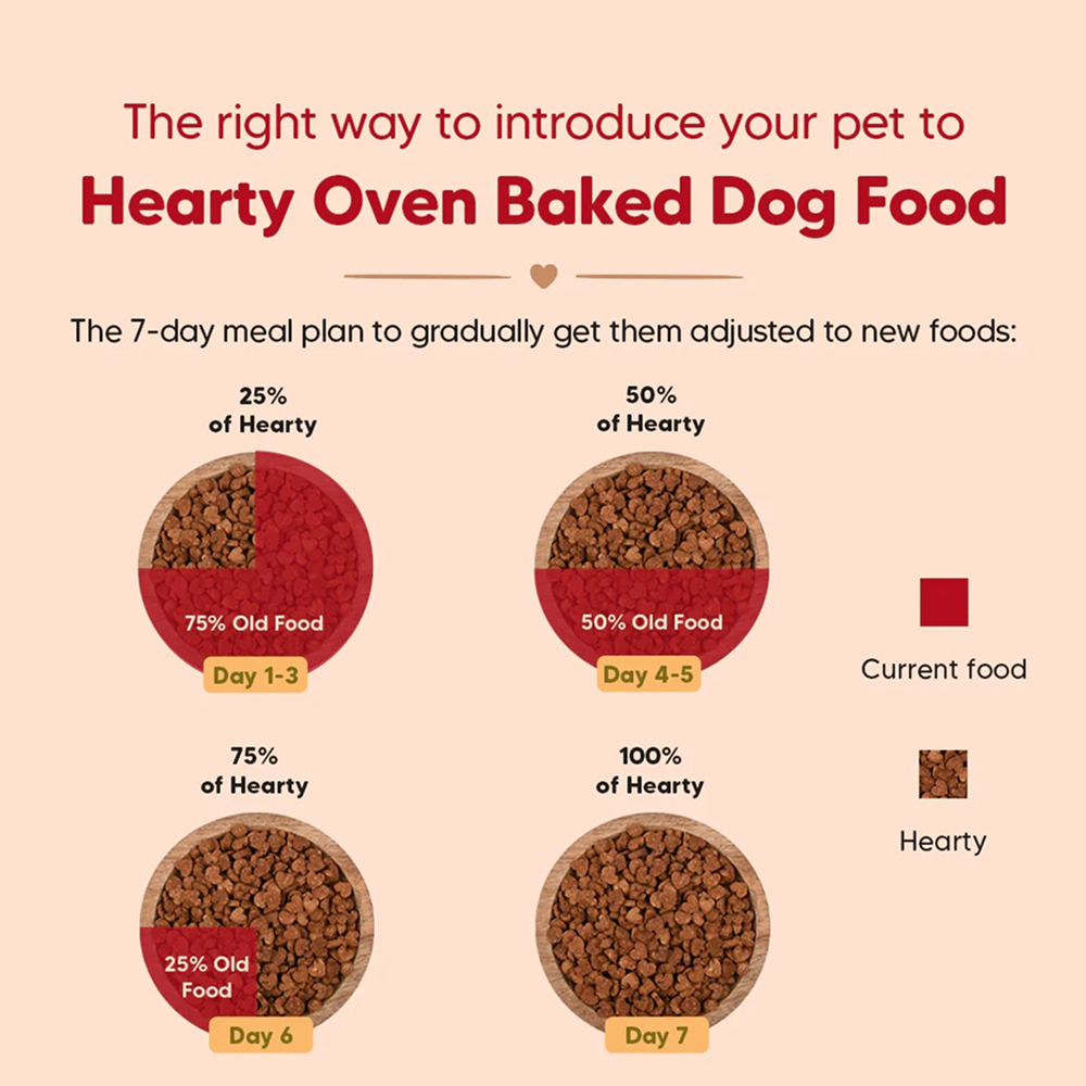 HUFT Hearty Oven Baked Grain Free Turkey, Fish & Chicken with Superfood Adult Dog Dry Food Dogs- Dry Food Heads Up for Tails